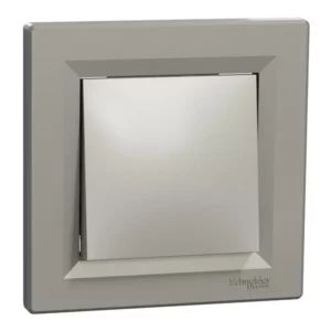 SCHNEPH0100169